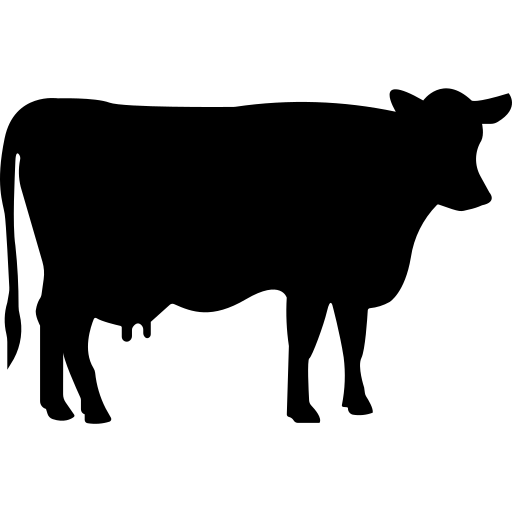 5.500₺ icon